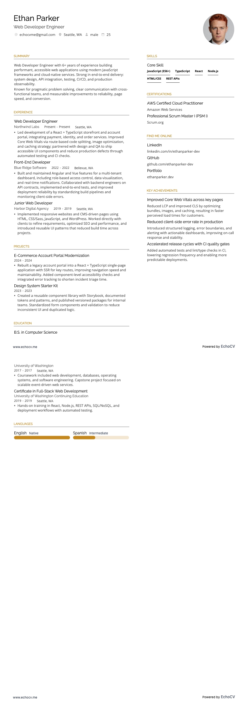 Web Developer Engineer example resume