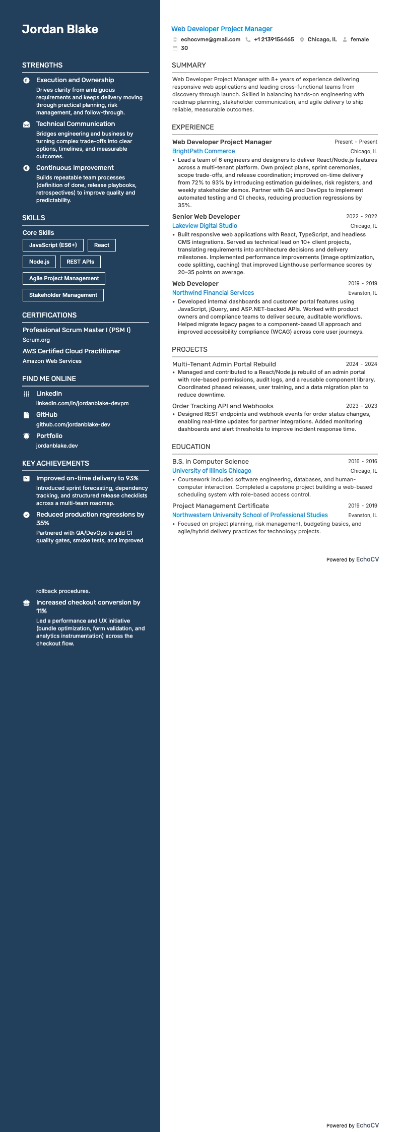 Web Developer Project Manager