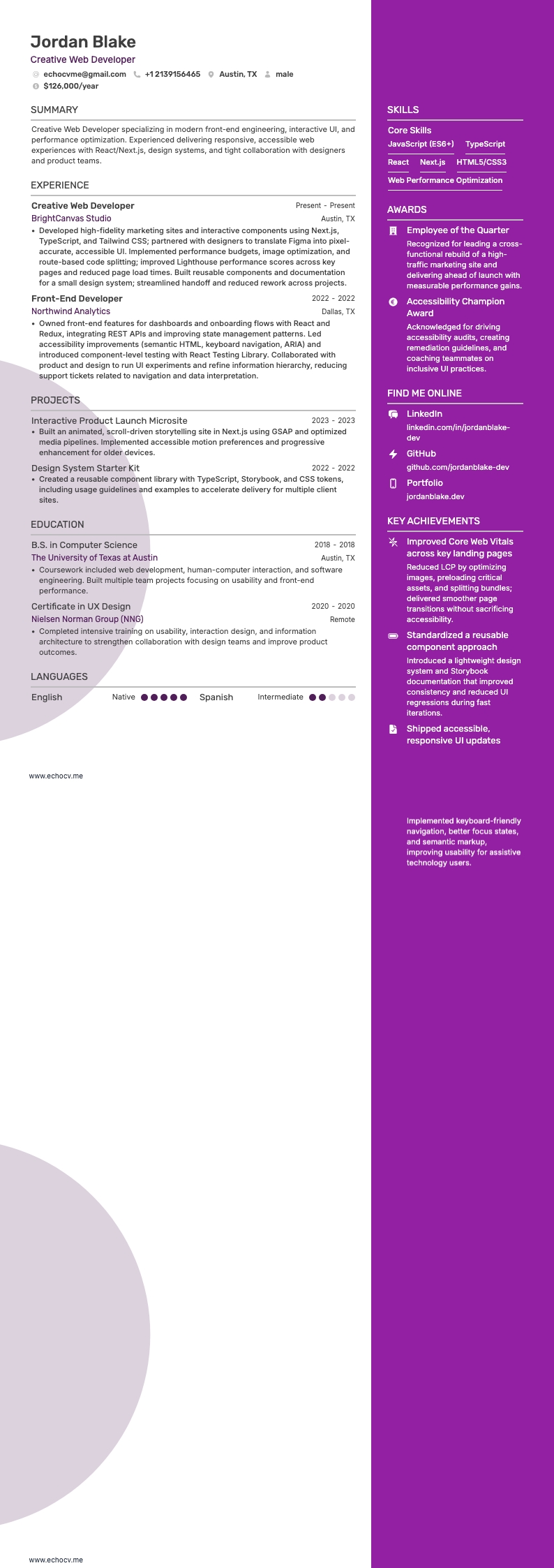 Creative Web Developer example resume