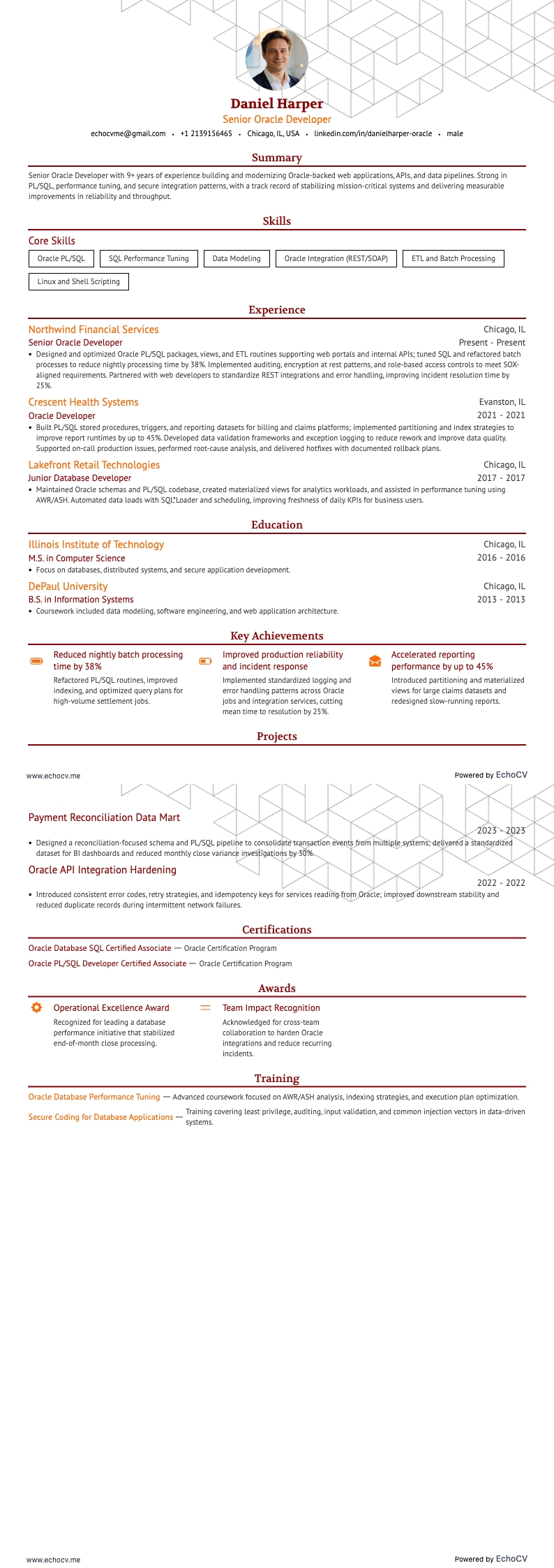 Senior Oracle Developer example resume