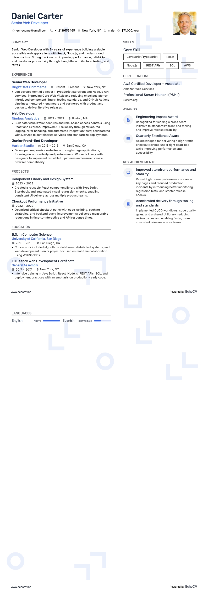 Senior Web Developer example resume