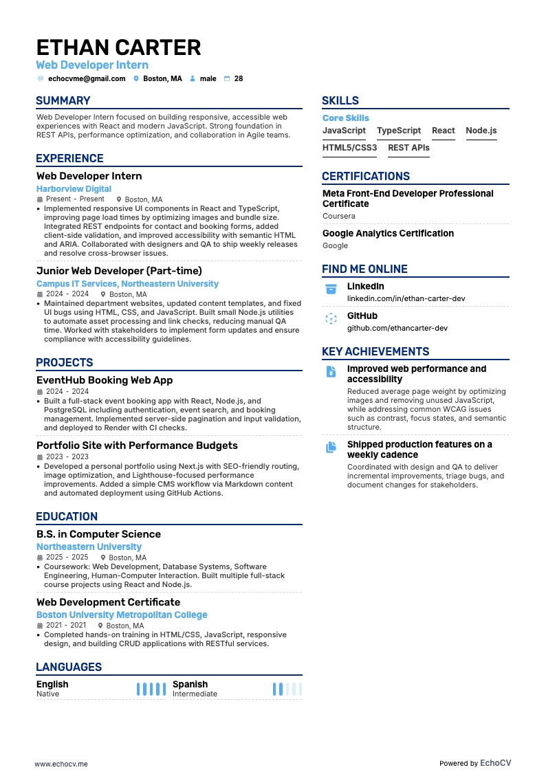 Web Developer Intern example resume