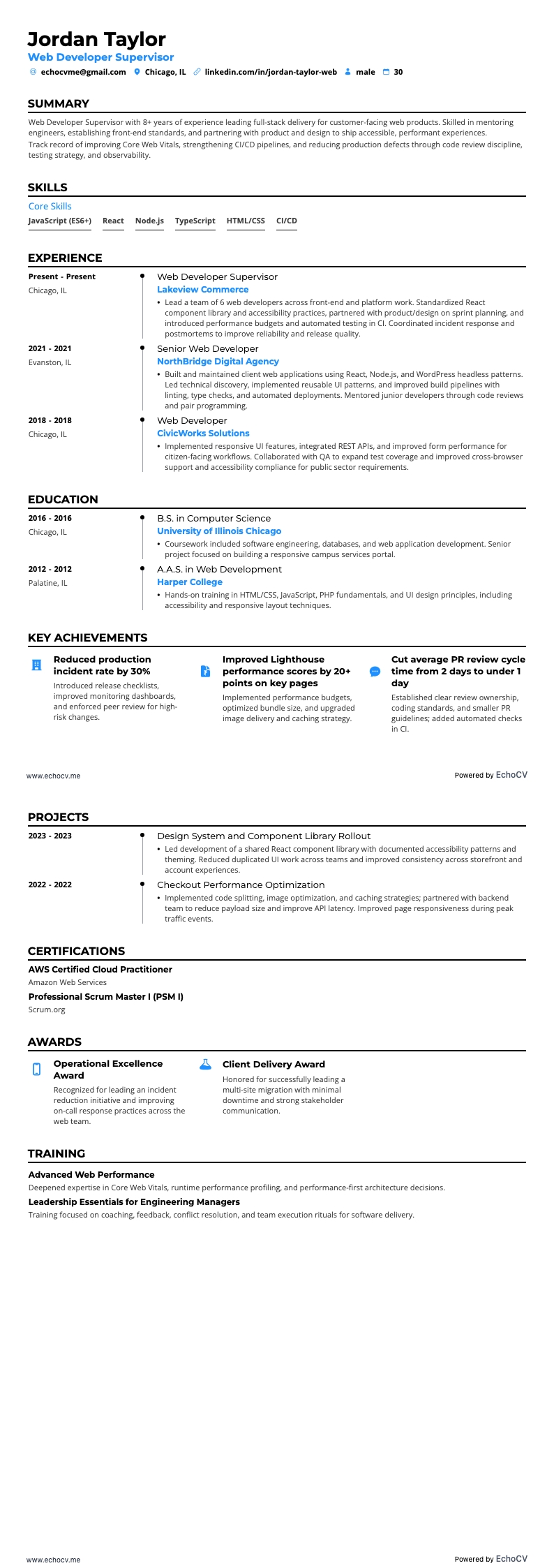 Web Developer Supervisor example resume