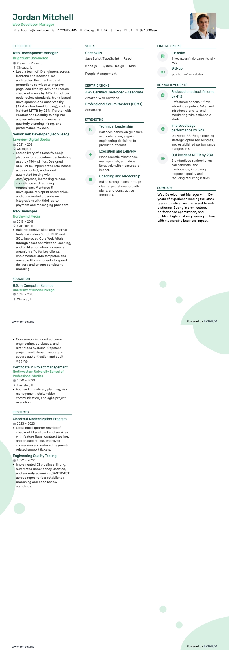 Web Developer Manager full preview