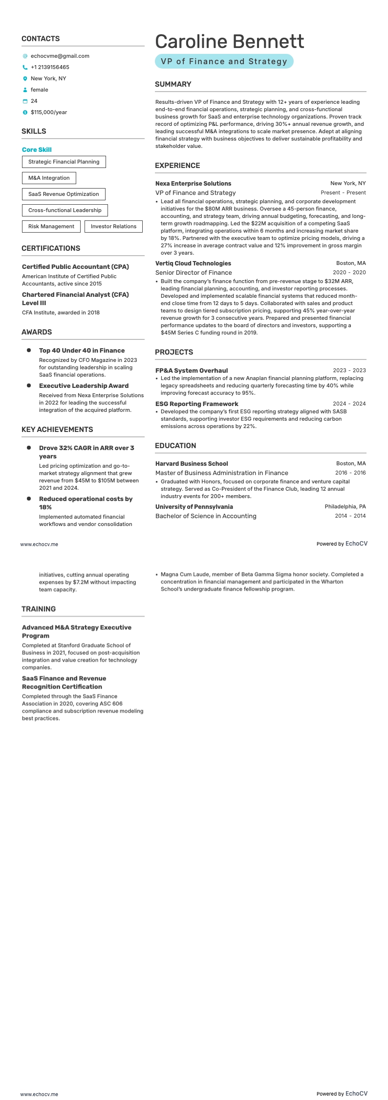 VP of Finance and Strategy example resume