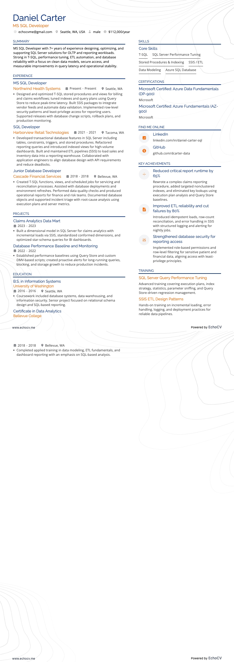 MS SQL開発者 example resume