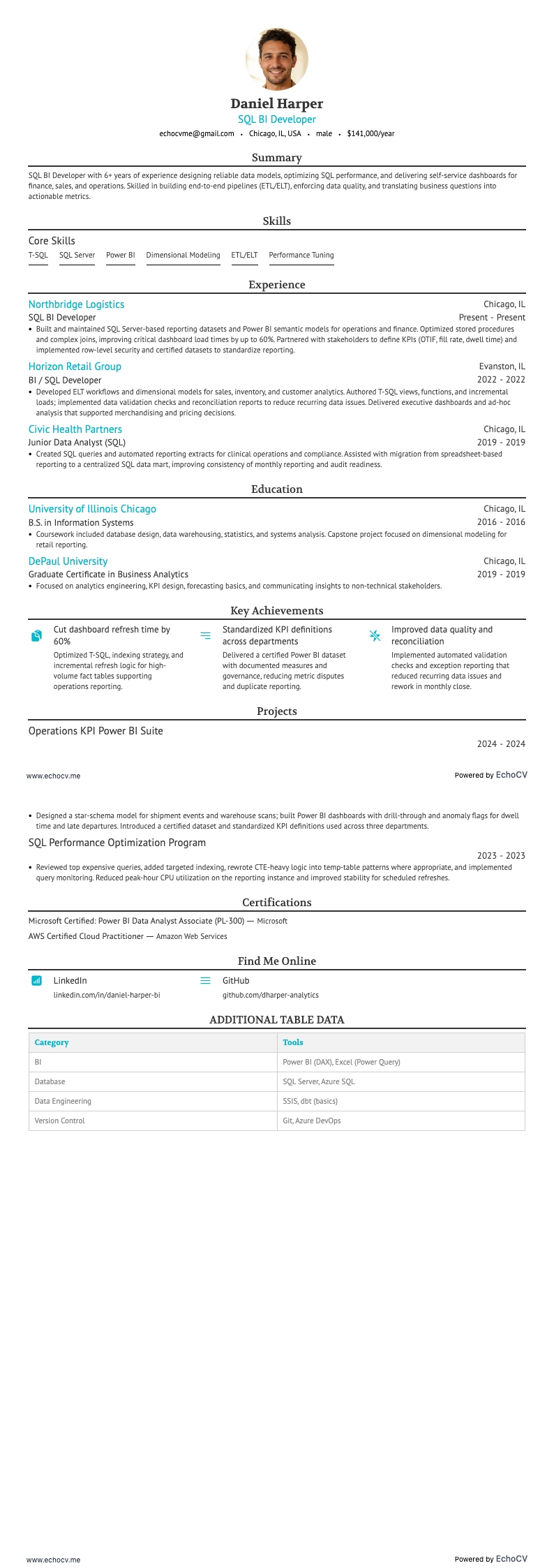 SQL BI開発者 example resume