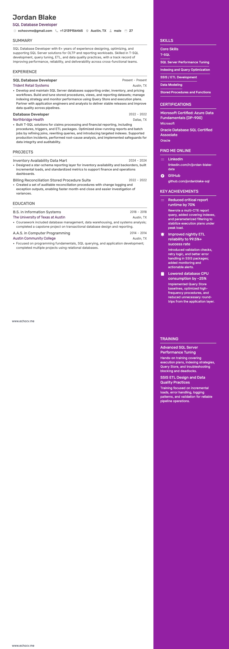 SQLデータベース開発者 example resume