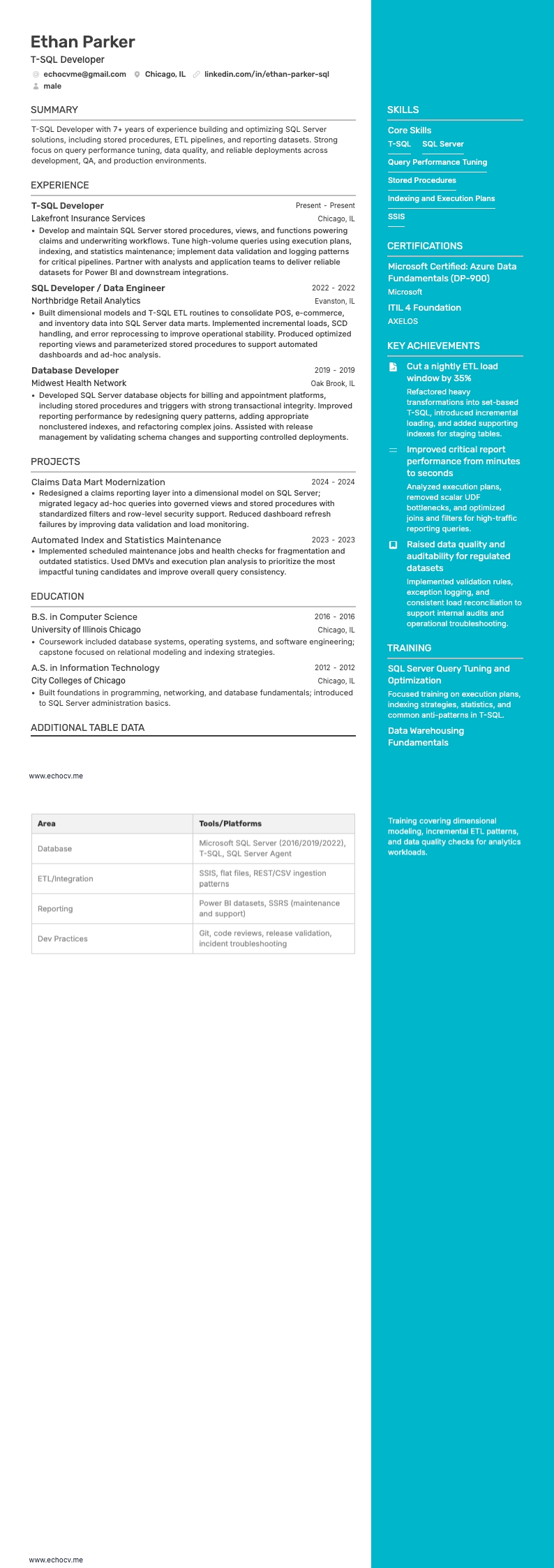T-SQL開発者 example resume