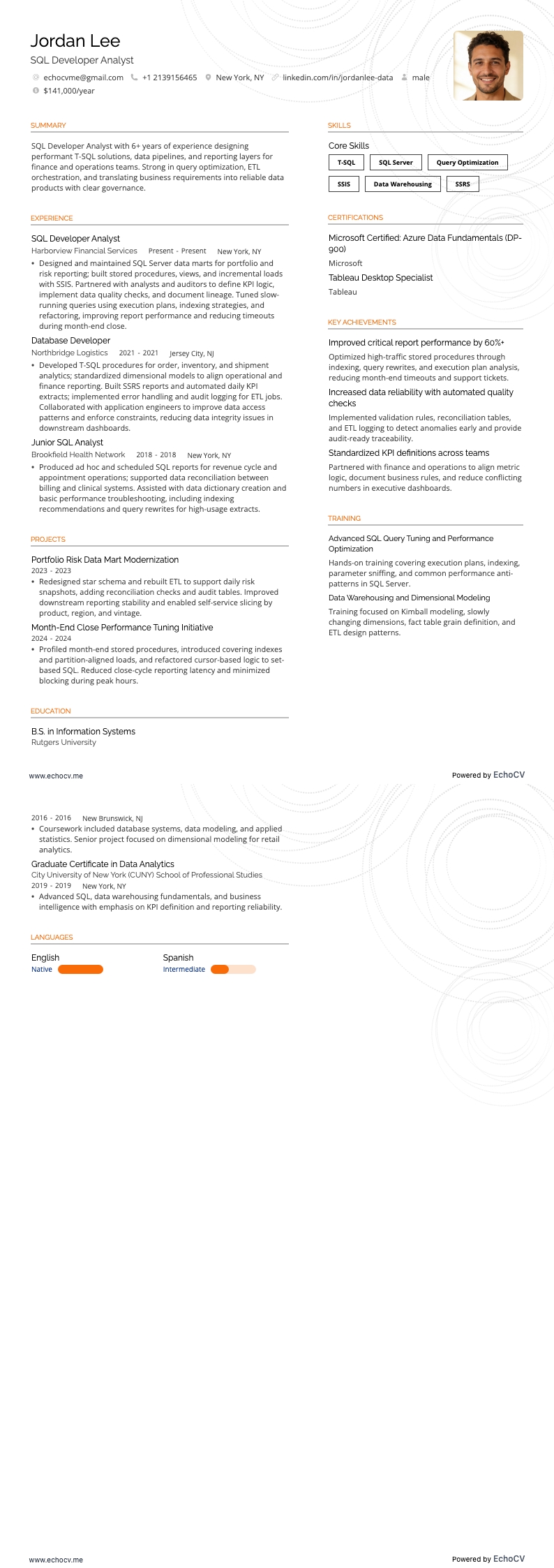 SQL開発アナリスト example resume