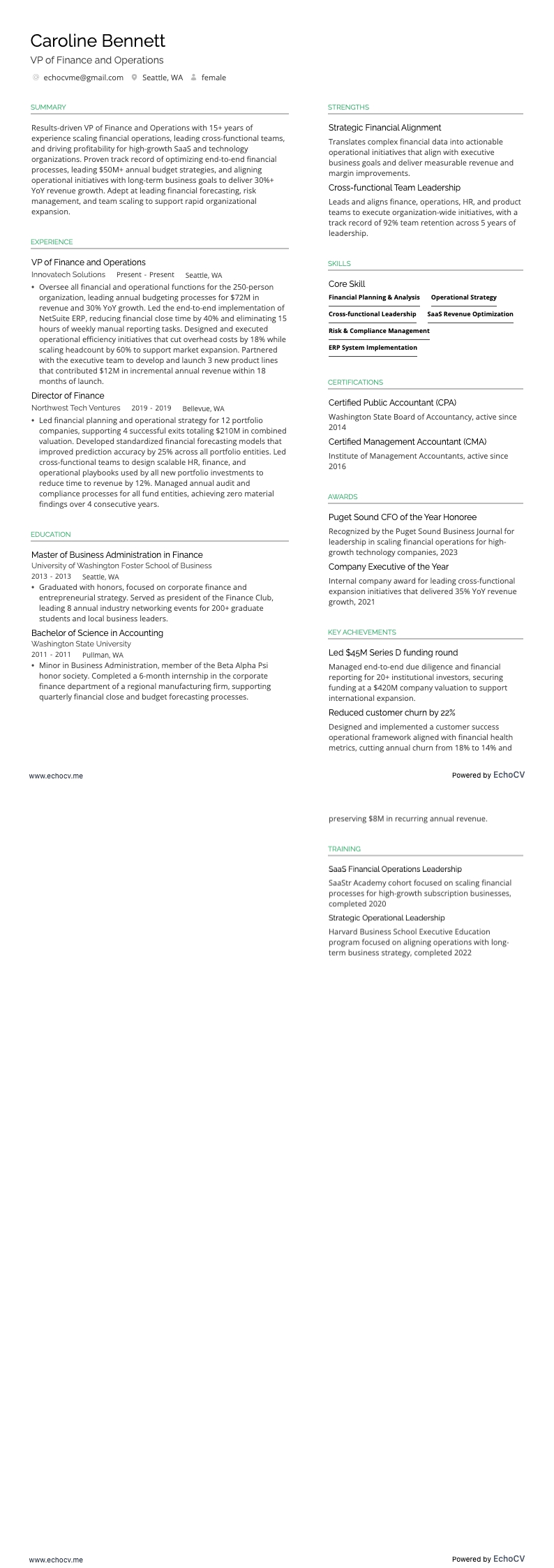 VP of Finance and Operations example resume