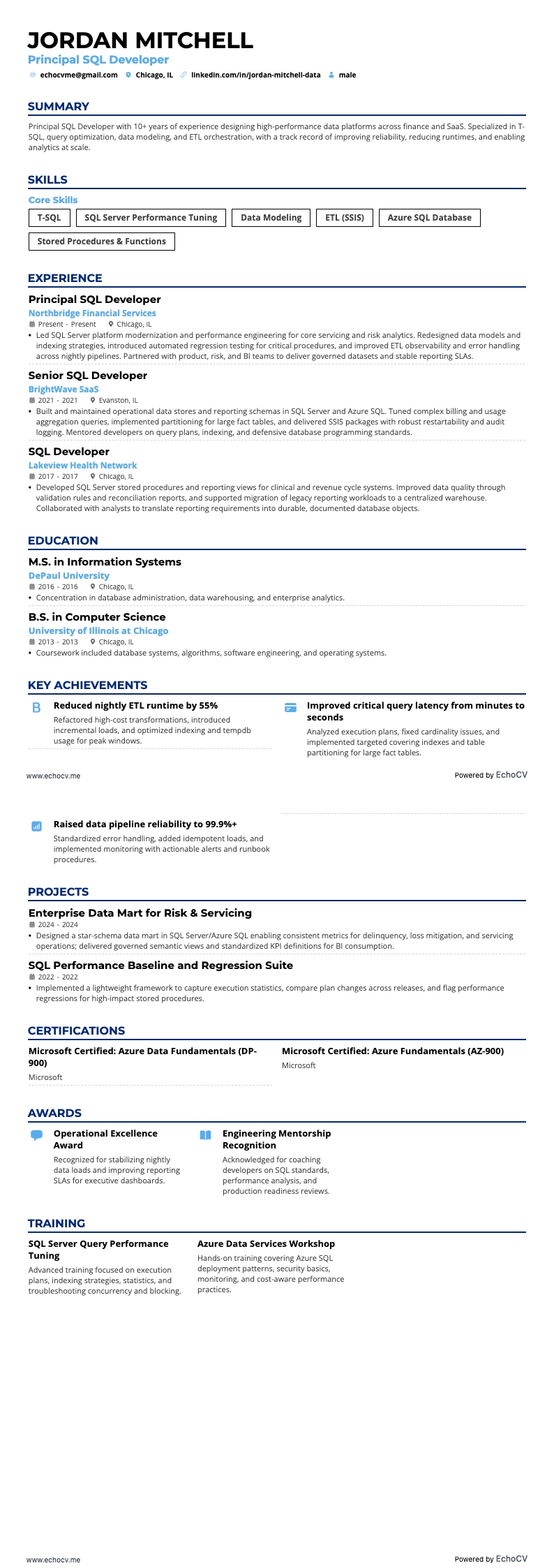 主任SQL開発者 example resume