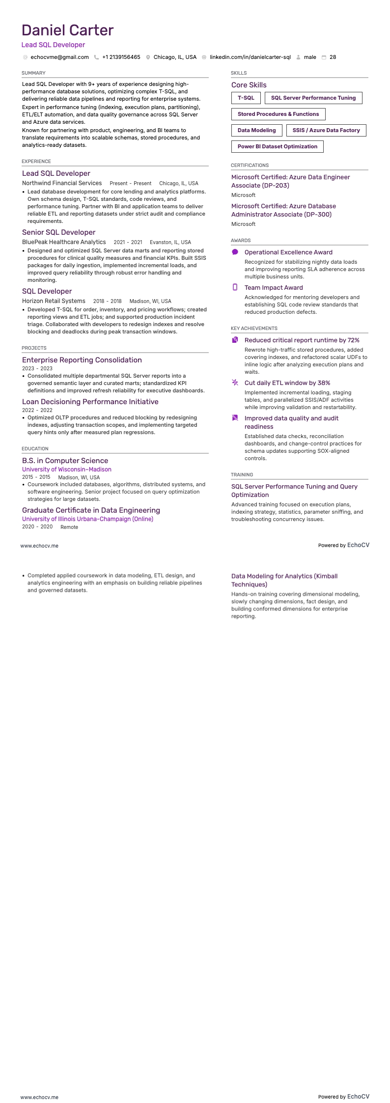 リードSQL開発者 example resume