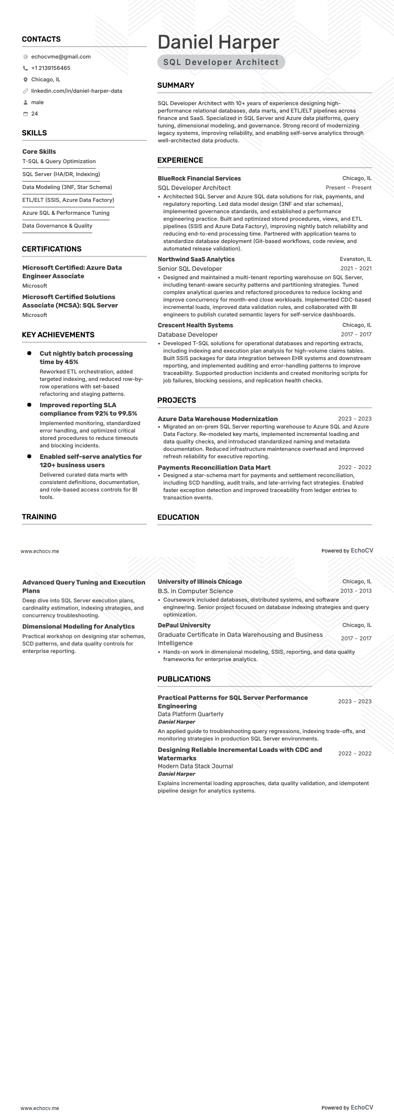 SQL開発アーキテクト example resume