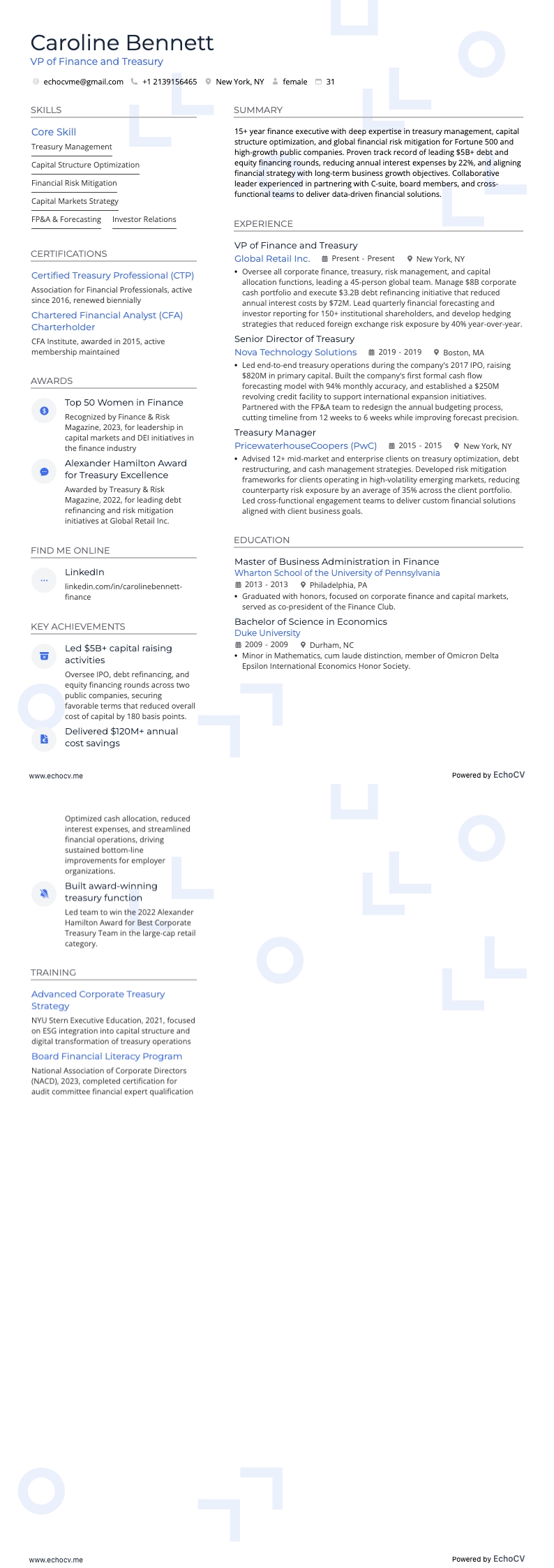 재무 및 자금 담당 VP