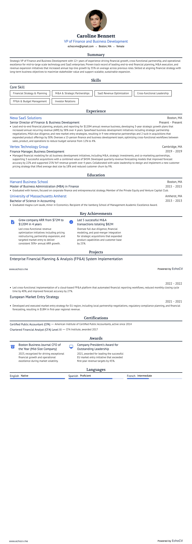 VP of Finance and Business Development example resume