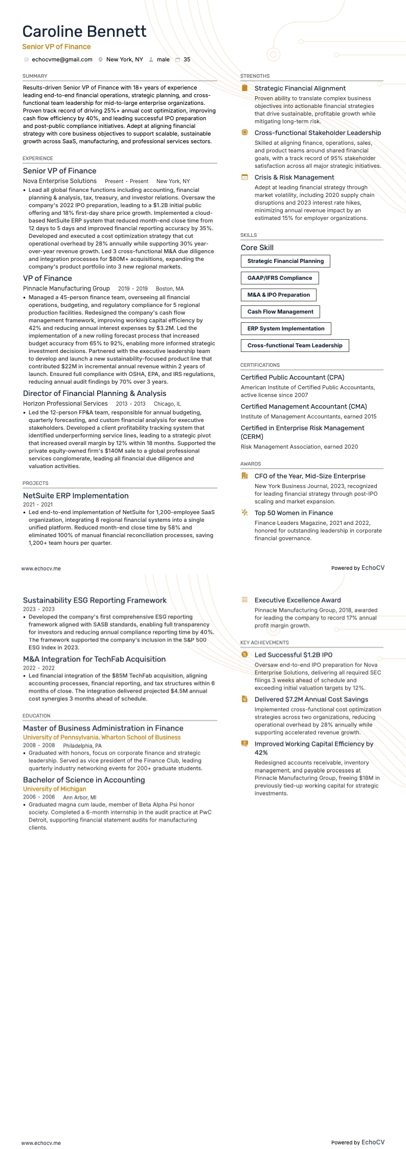 Senior VP of Finance full preview