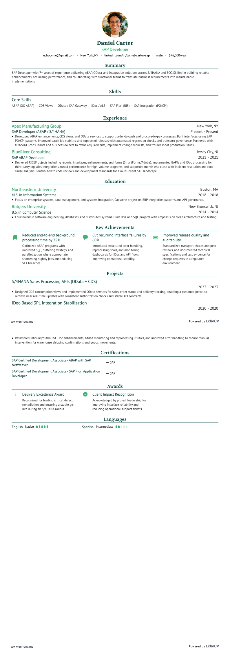Développeur SAP example resume