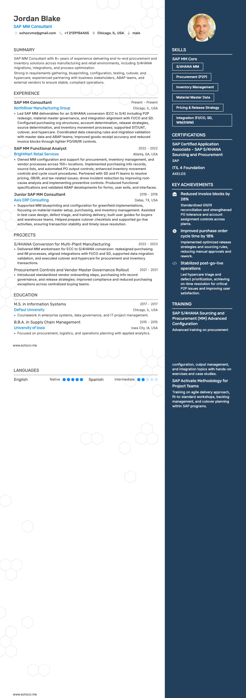 Consultant SAP MM example resume