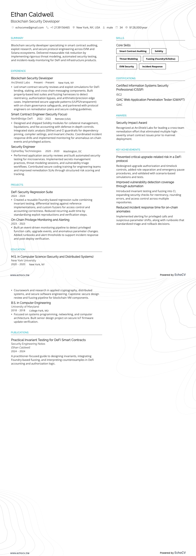 블록체인 보안 개발자 example resume