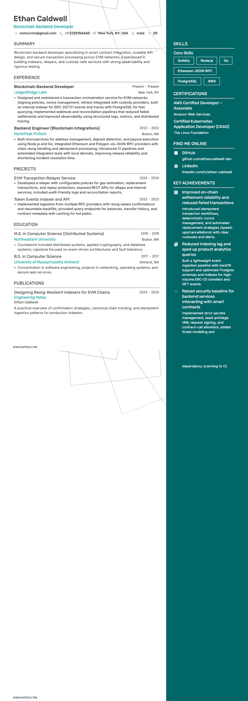 블록체인 백엔드 개발자 example resume