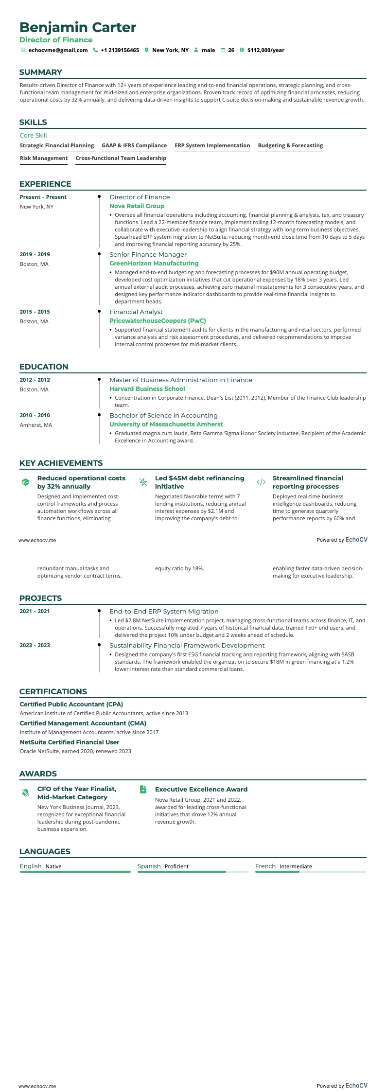 Director of Finance example resume