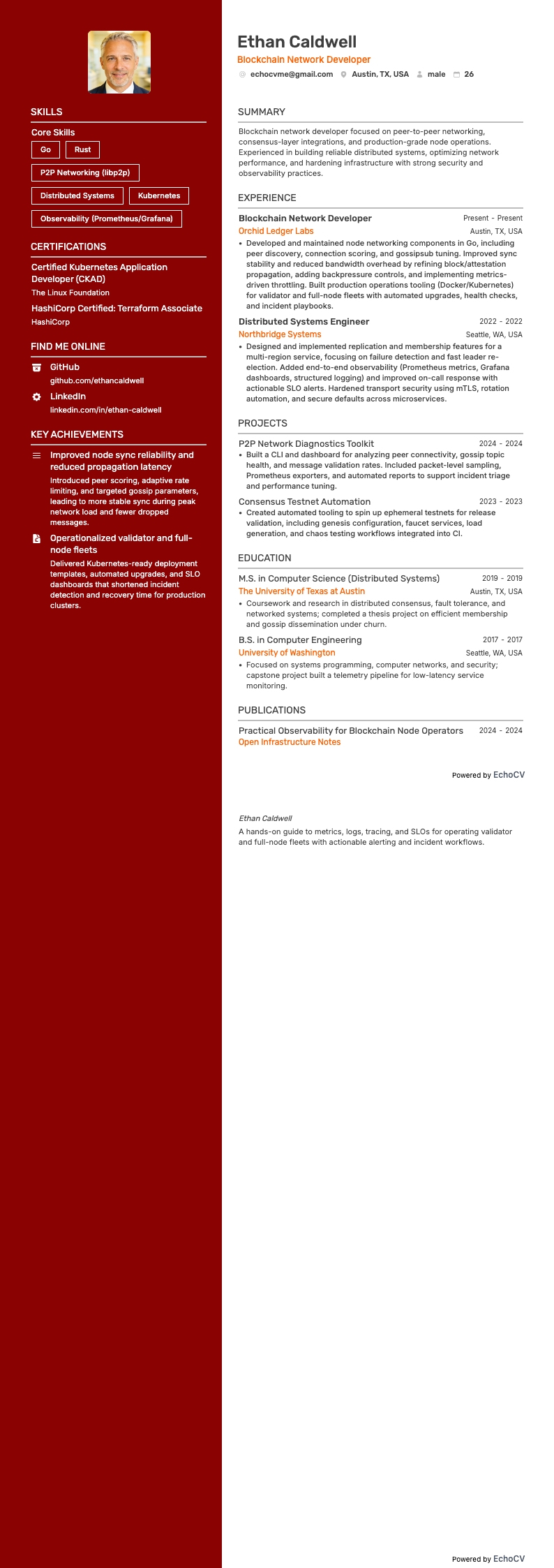 블록체인 네트워크 개발자 example resume