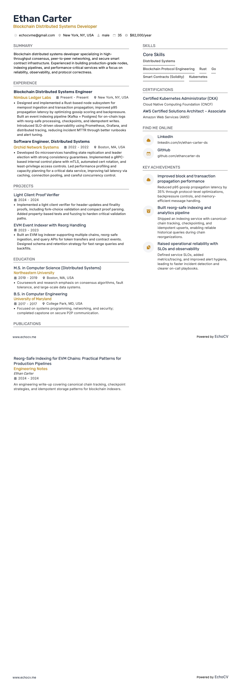 블록체인 분산 시스템 개발자 example resume