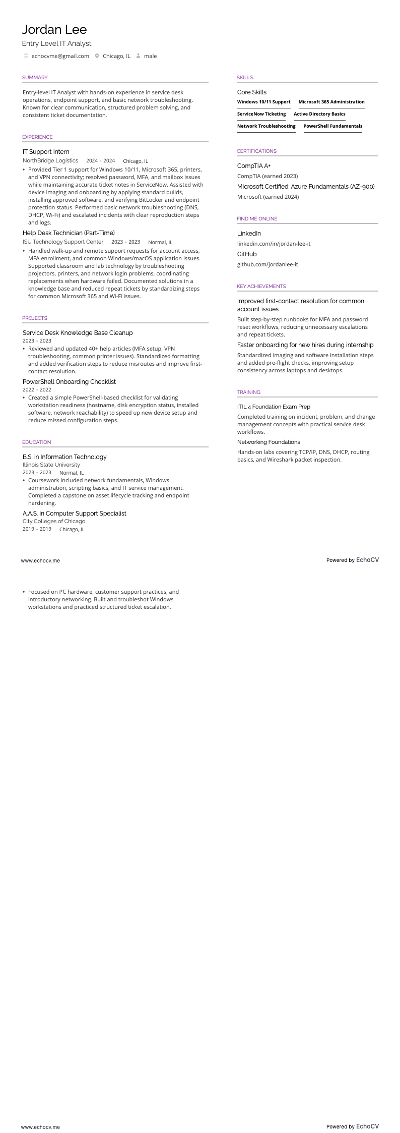 Entry Level IT Analyst example resume