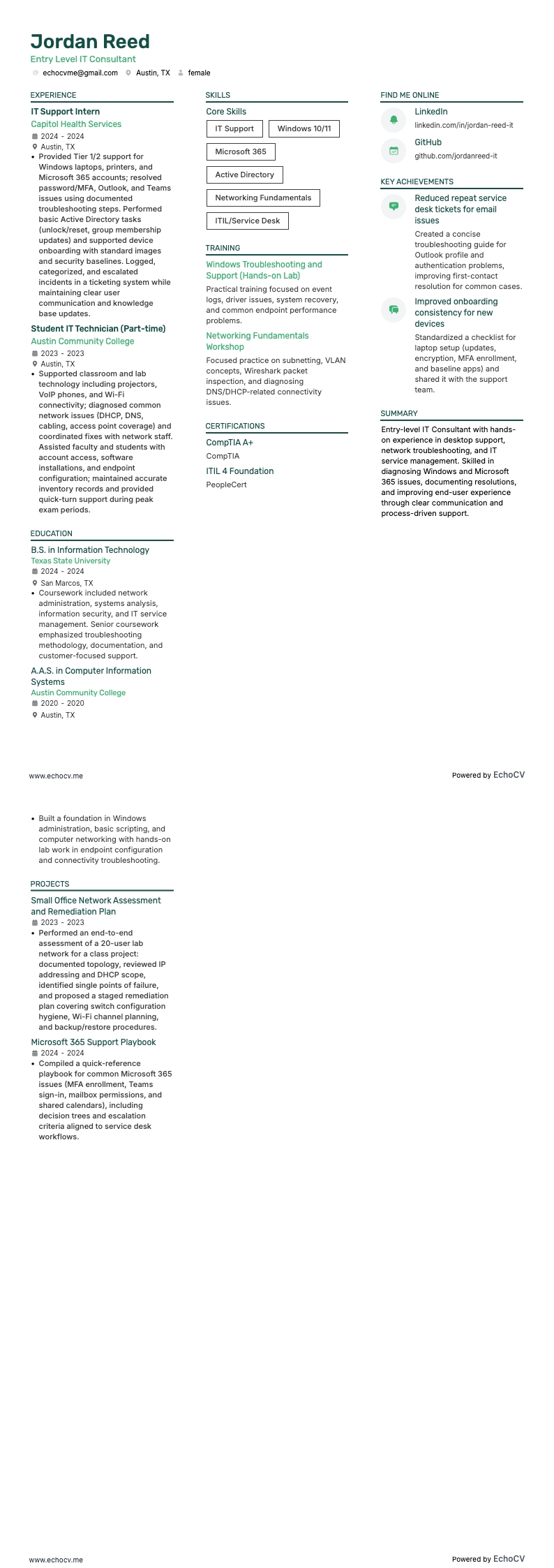 Entry Level IT Consultant example resume