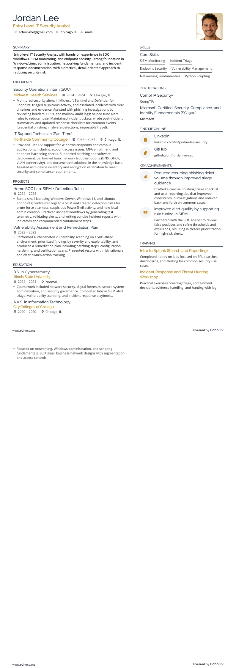 Entry Level IT Security Analyst example resume