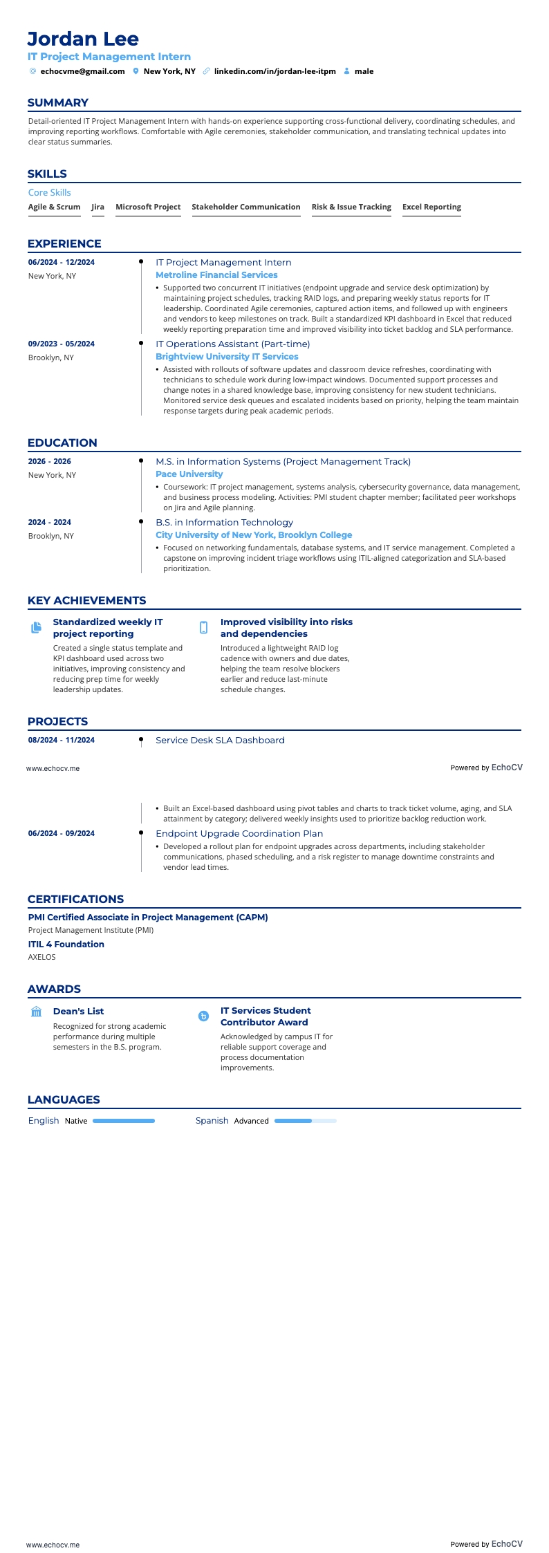 IT Project Management Intern example resume