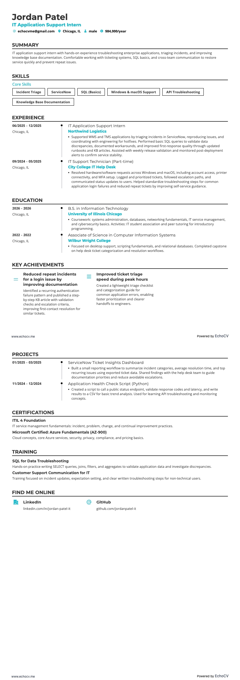 ITインターン resume example