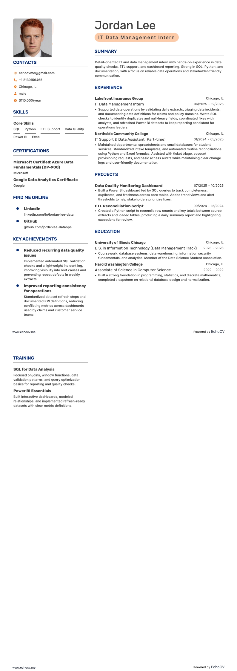 IT Data Management Intern example resume