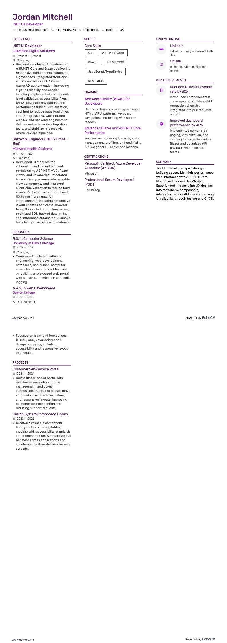 .Net Ui Developer Resume example resume