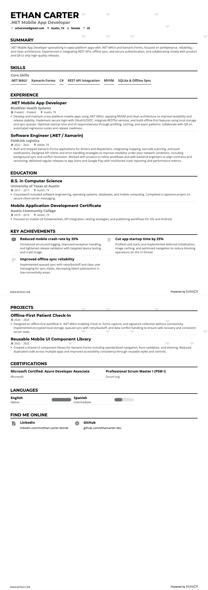 .Net Mobile App Developer example resume
