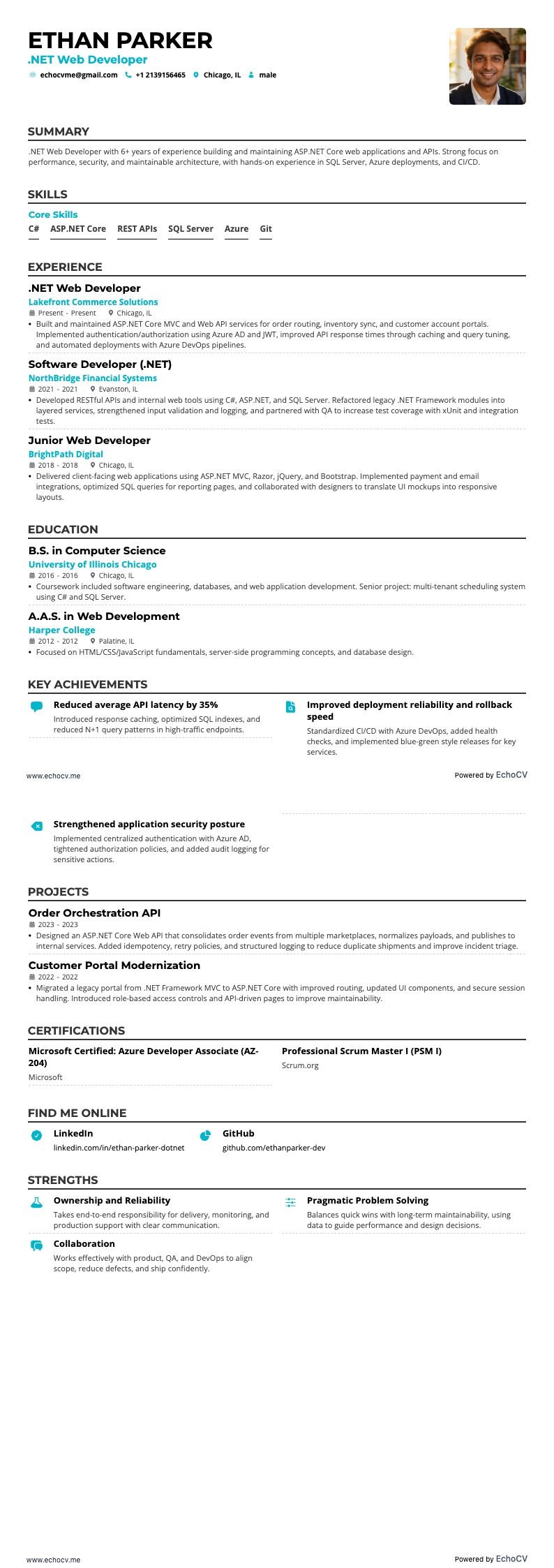 .Net Web Developer example resume