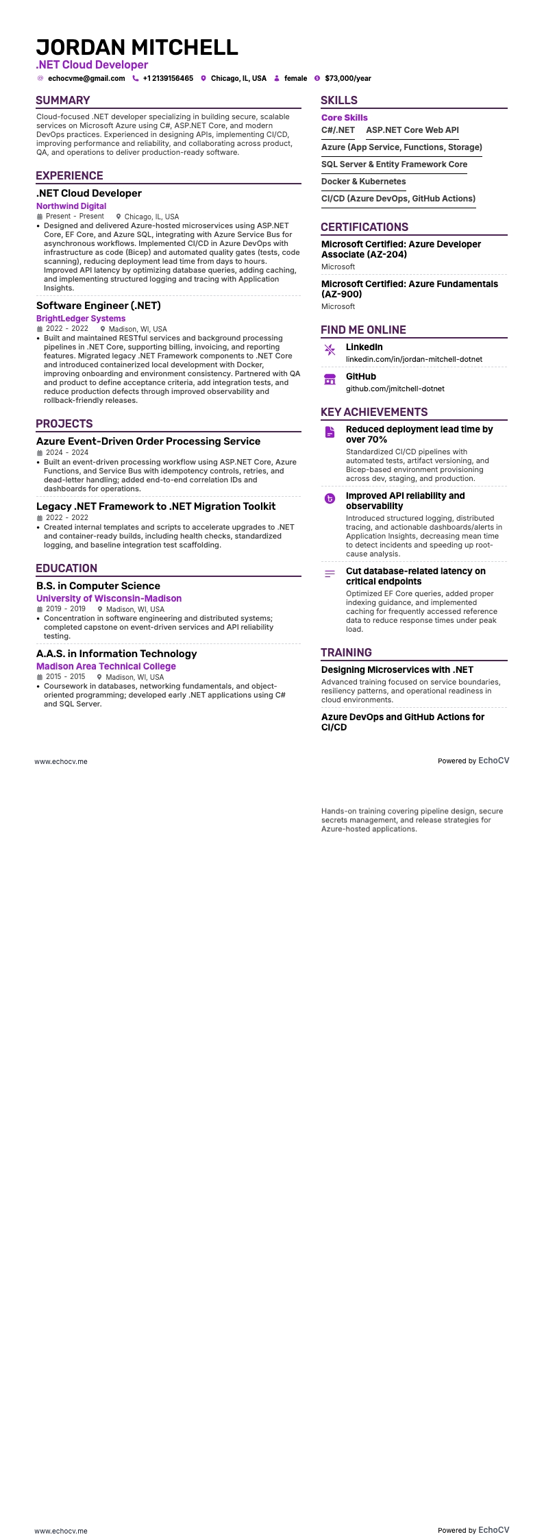 .Net Cloud Developer example resume