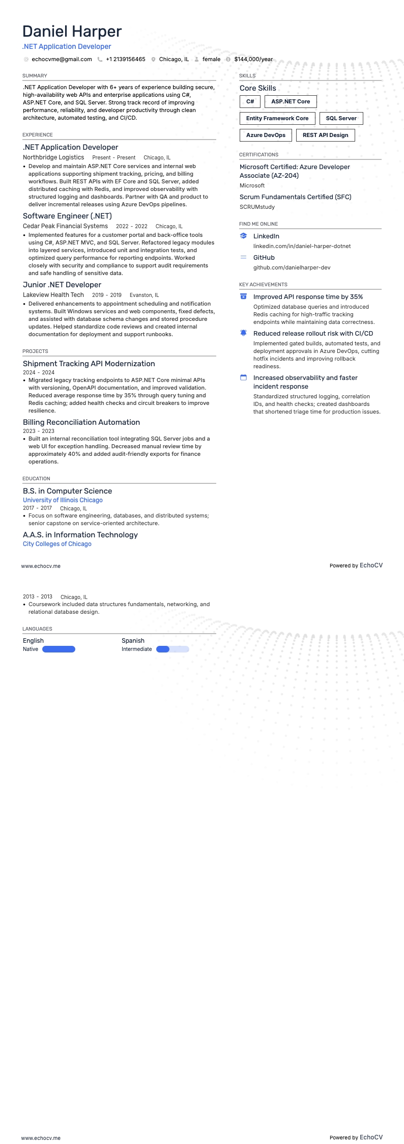 .Net Application Developer example resume