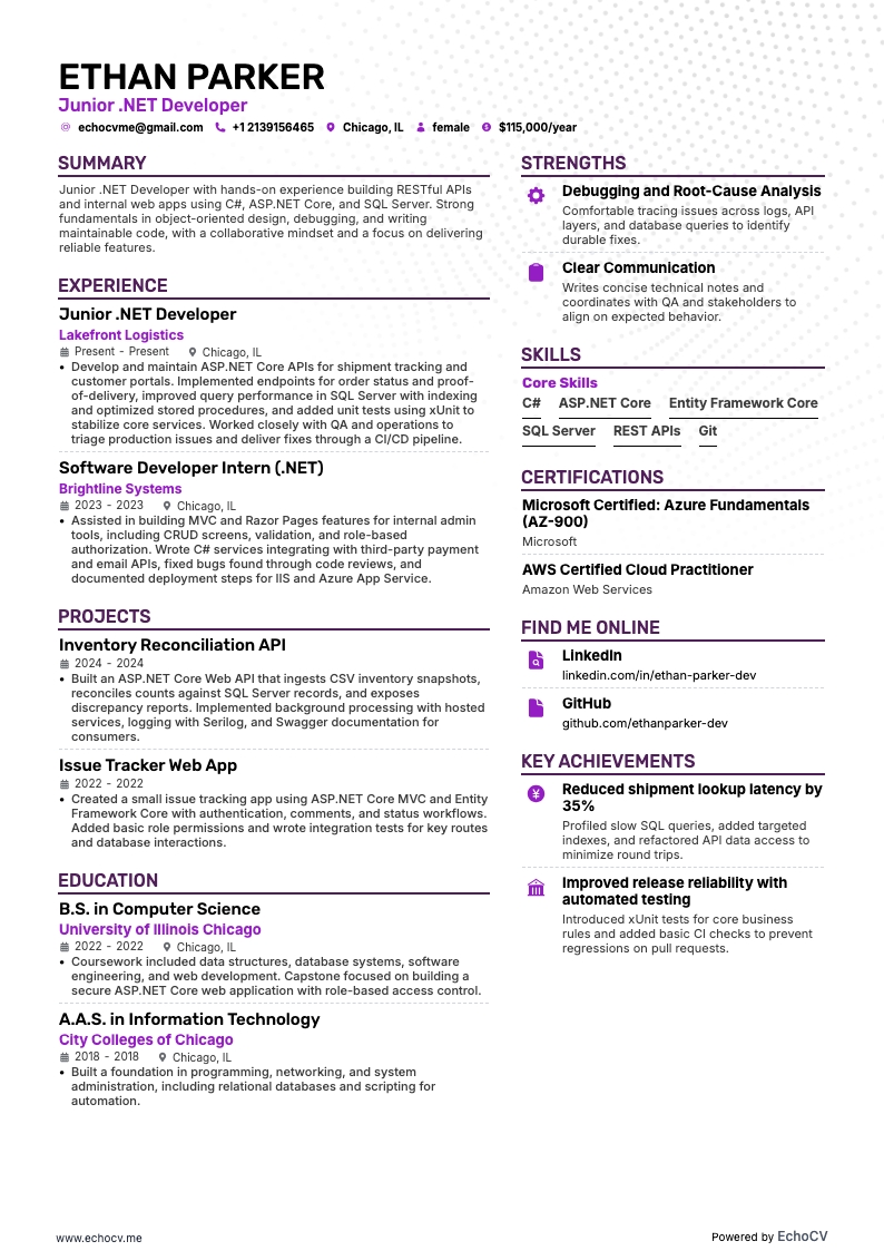 Junior .Net Developer Resume example resume