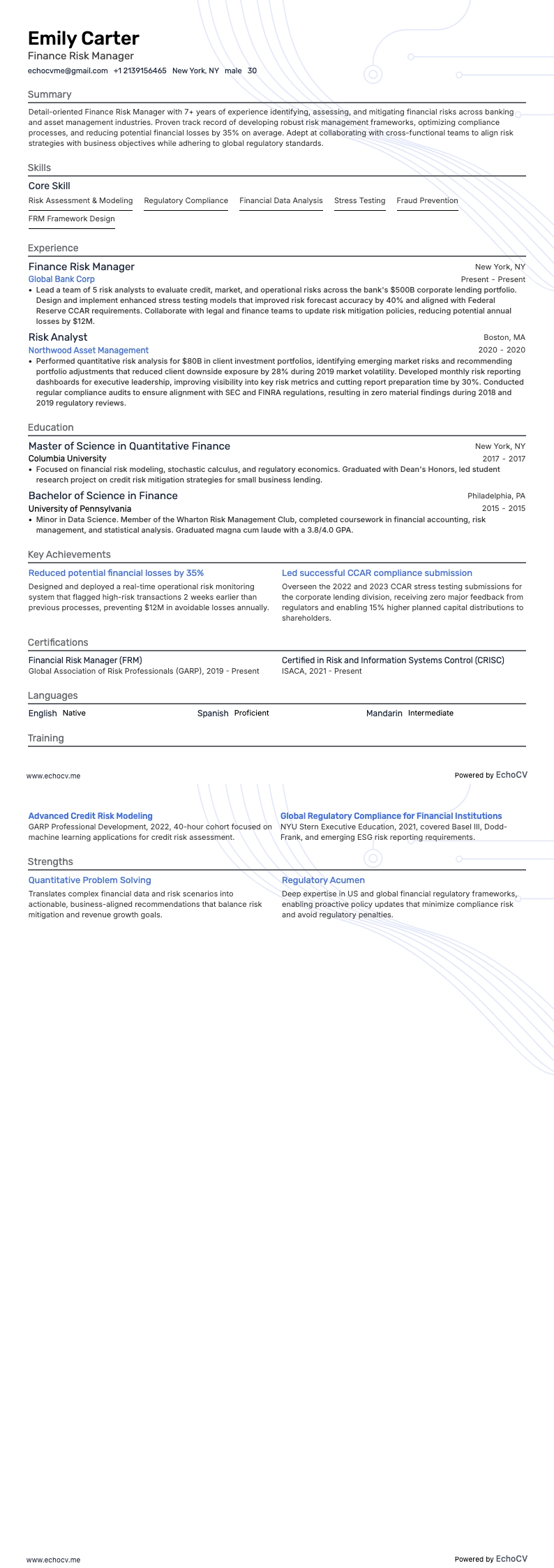 Finance Risk Manager example resume