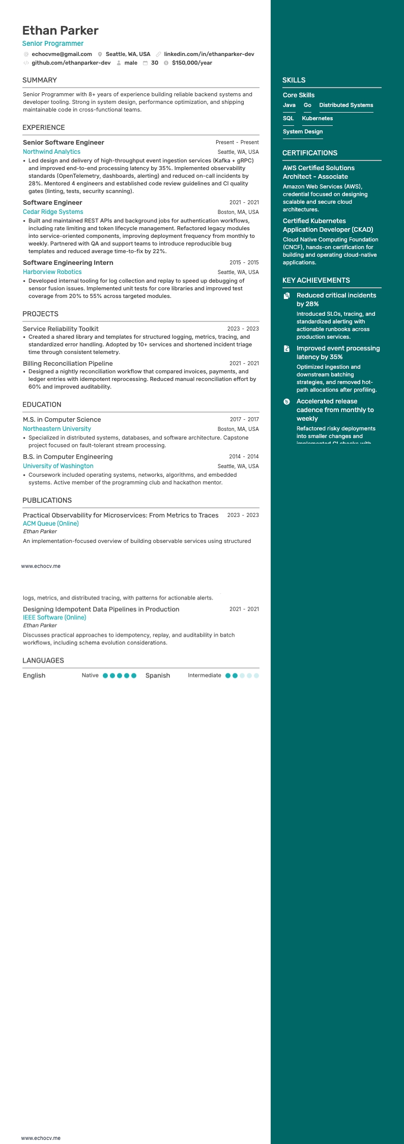 シニアプログラマー の全体プレビュー