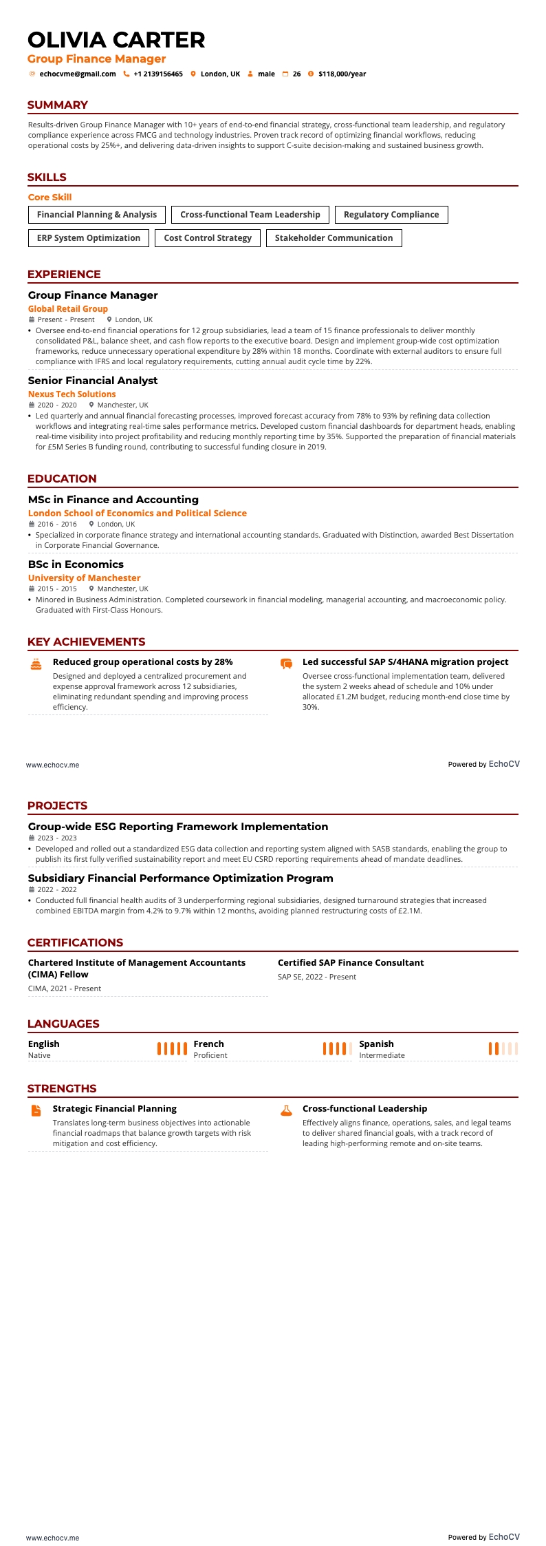 Group Finance Manager example resume