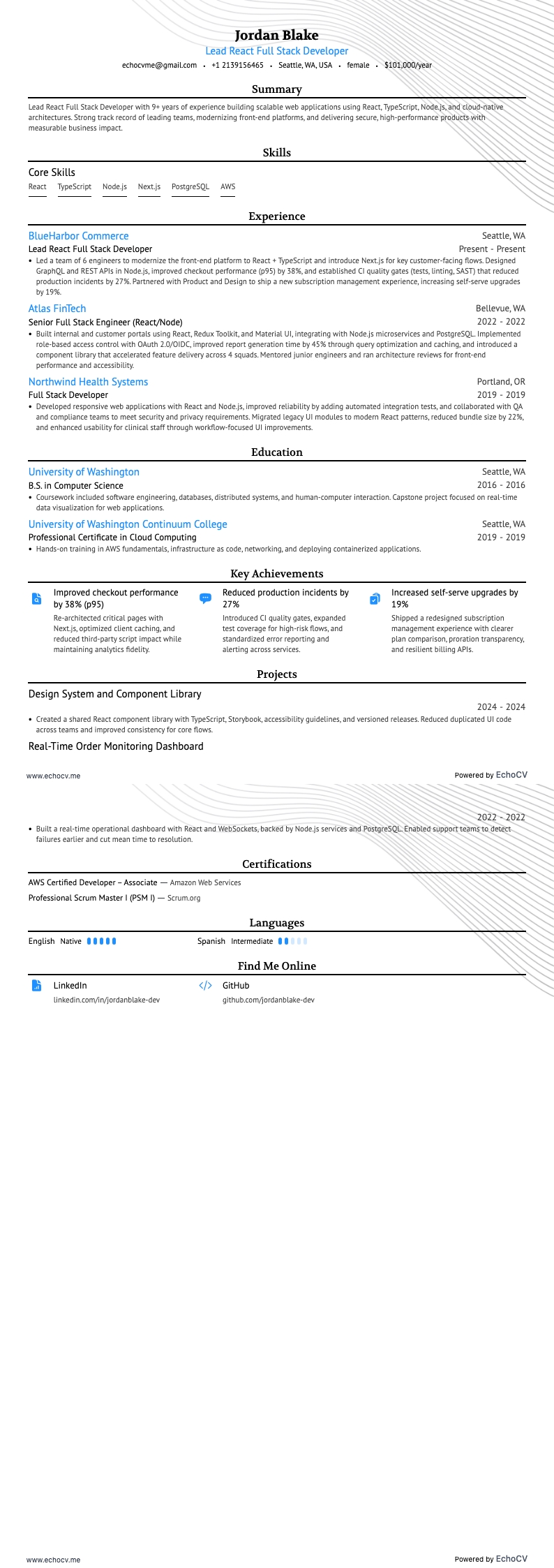 Lead React Full Stack Developer full preview