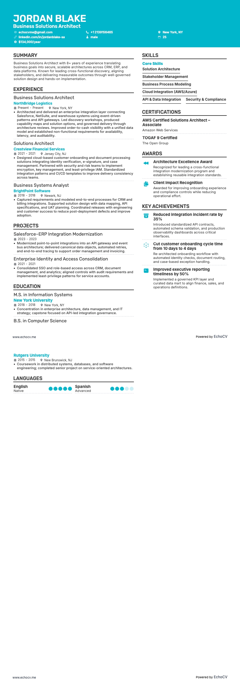 Business Solutions Architect example resume