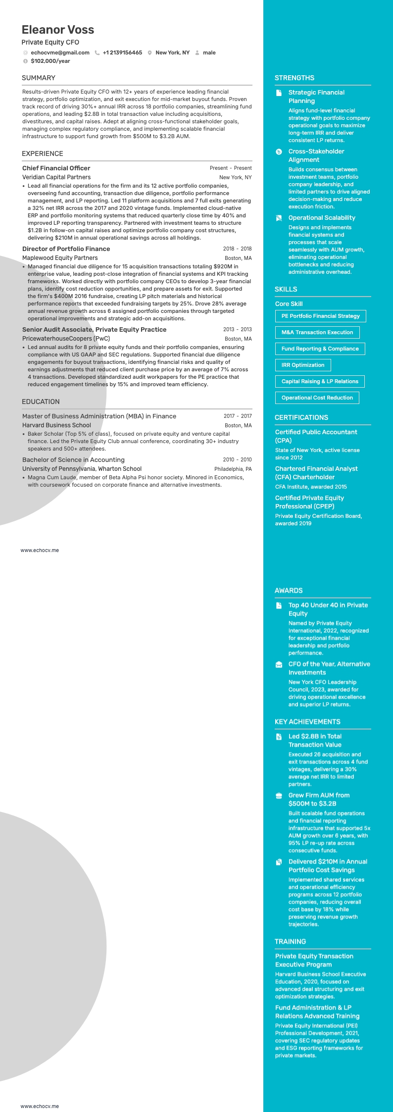 Private Equity CFO example resume