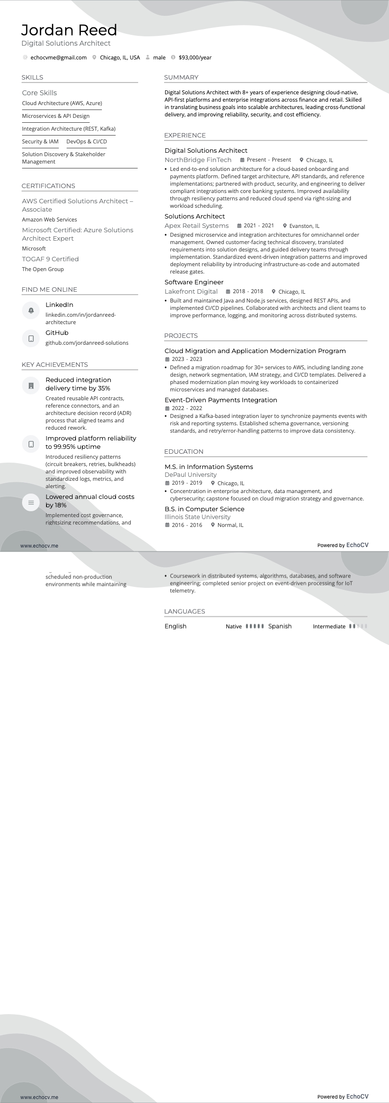 Digital Solutions Architect example resume