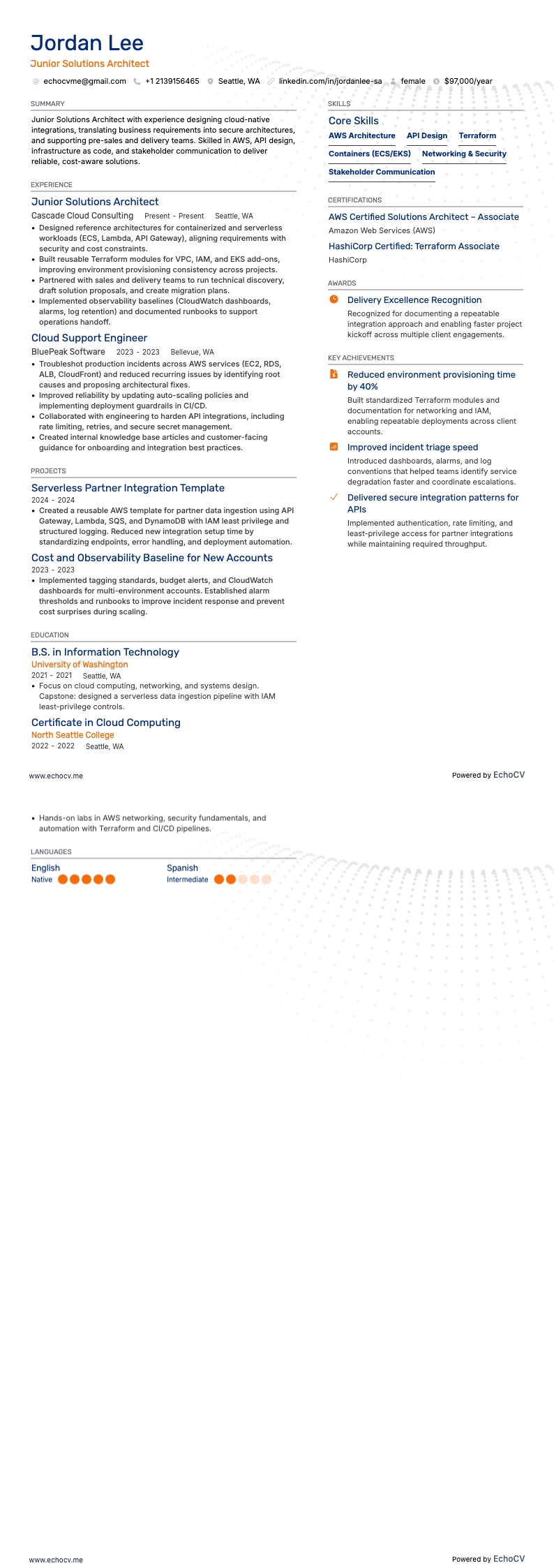 Junior Solutions Architect example resume