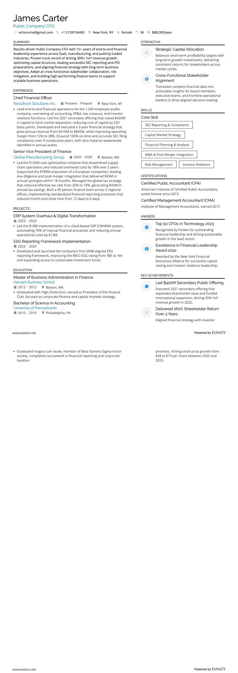 Public Company CFO example resume