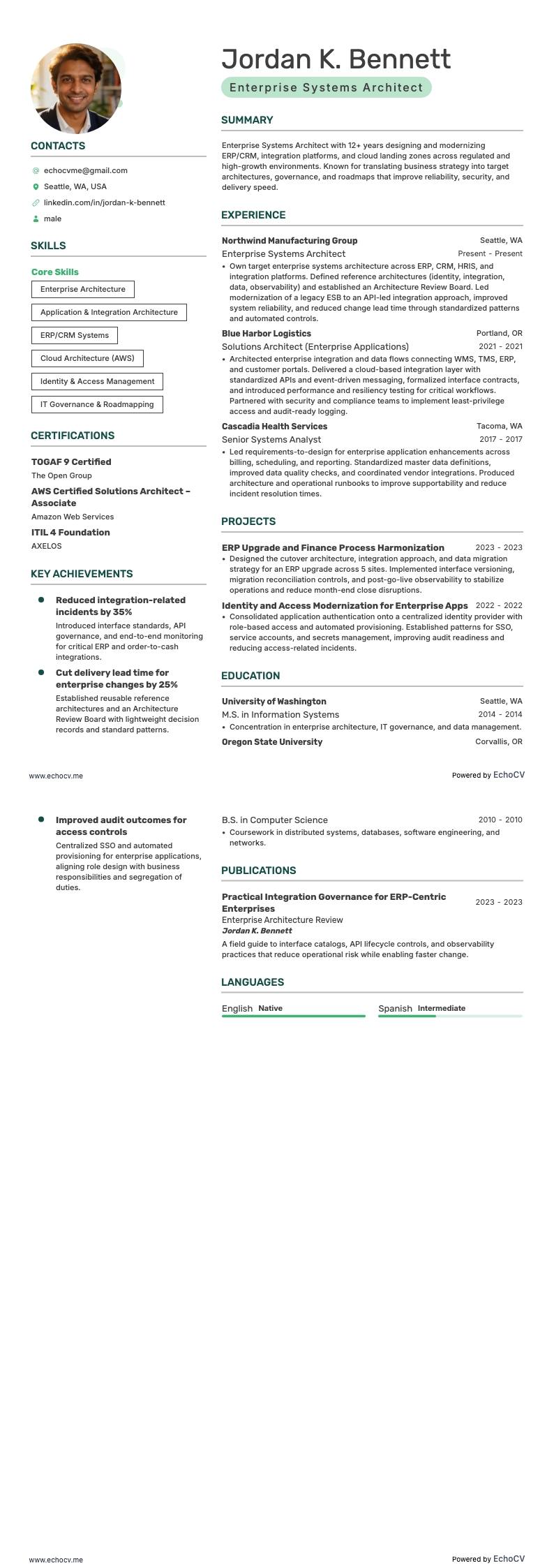 Enterprise Systems Architect example resume